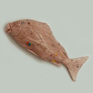 Pargo 
 38x14 cm.